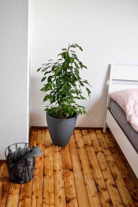 Apartamento Schoene Dachgeschosswohnung Nahe *